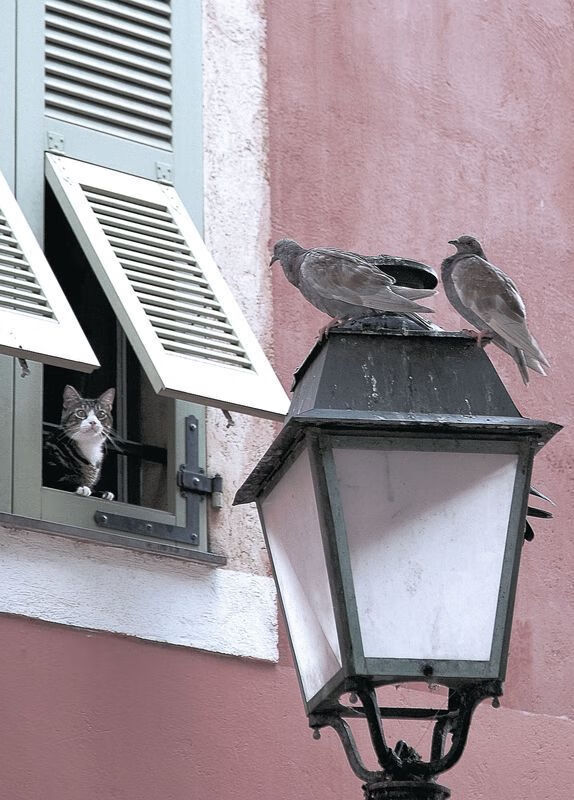 中国青训教练员体系不断完善，专业化水平提升，职业梯队青训教练招聘